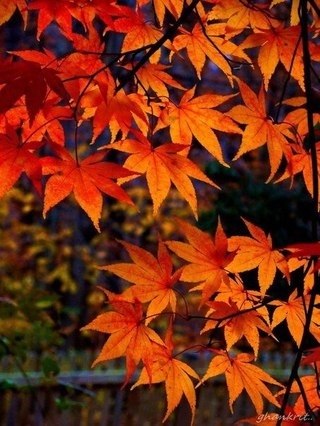     ,       . ,  ,  ... - 6