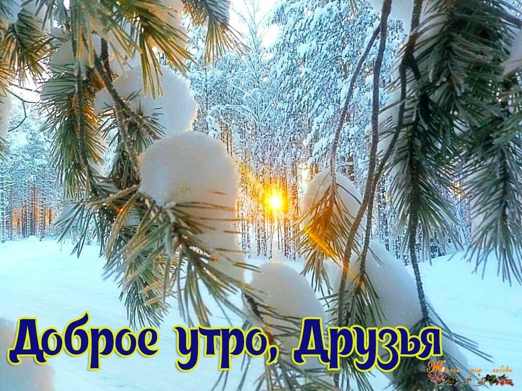   ,    . - 19  2019  10:25