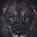���� ����, ������, 35 ��� - ��������� 1 ������� 2018