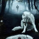  White Wolf,  -  15  2018   