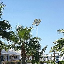 ������, �����, 37 ���