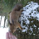 ���� ������, ������������ - ��������� 27 ����� 2019 � ������ ��������