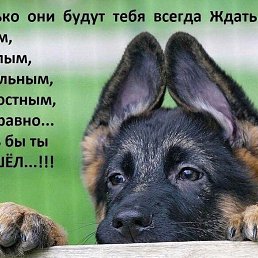 ���� ��������, ����� - ��������� 17 ������� 2018