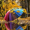 ���� ��������, ����� - ��������� 3 ������ 2018 � ������ ������ ��������