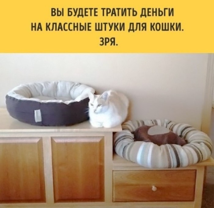   ,    -        - 6