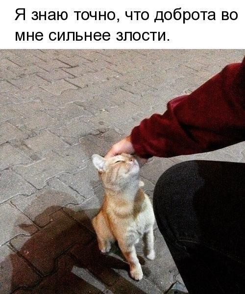   - 15  2018  16:36