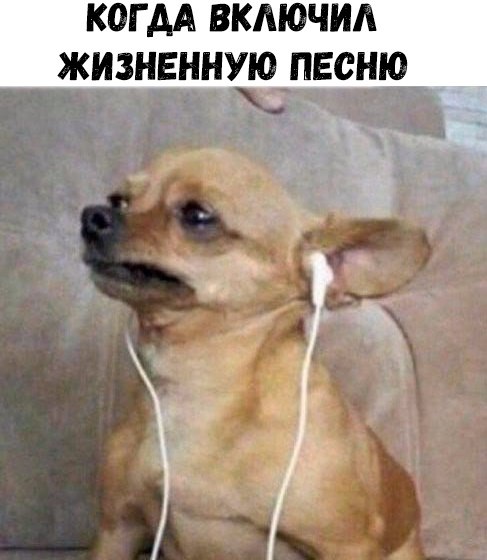    :D - 22  2018  16:50