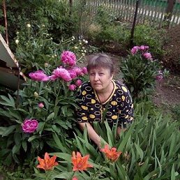 ����, ������, 68 ���