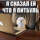  ,  -  1  2018   )