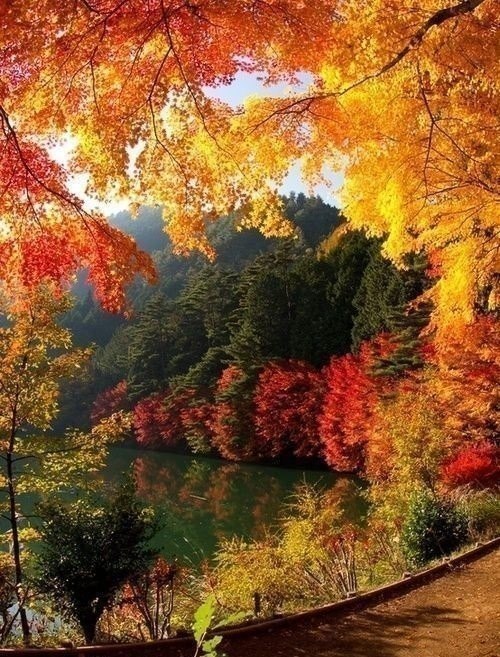 Уж небо осенью дышало... - 5