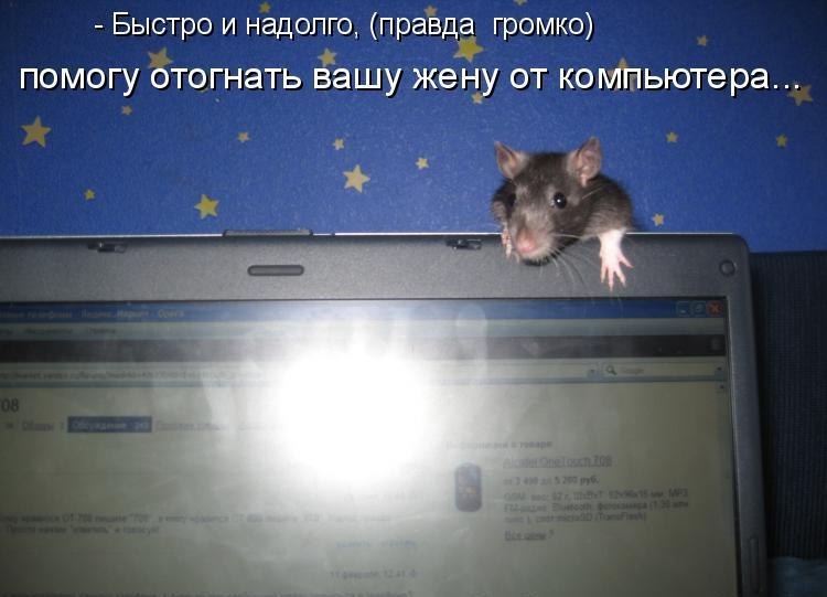   ...)