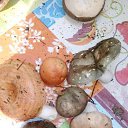  , , 60  -  30  2018    ,  .  2018.