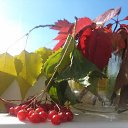 ���� �����, �������, 47 ��� - ��������� 5 ������� 2018 � ������ ���� ����������