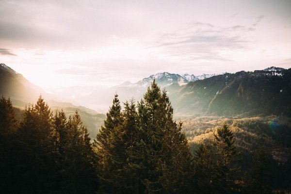 В лесу все кажется другим: вкус еды, воздух, мысли. Человек становится чище. - 5