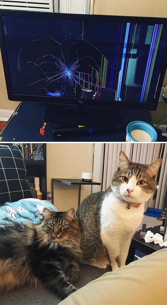           , !