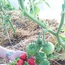���� ����, ��������� - ��������� 13 ������� 2018 � ������ ������ ��������