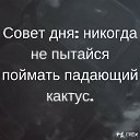 ���� ����, �������, 56 ��� - ��������� 19 ������� 2019 � ������ ���� ����������