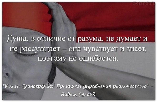    TV - 28  2019  11:31
