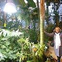  -   !,  -  24  2018       ..