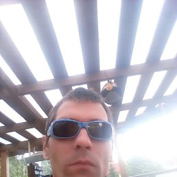 ���� ����, �����-���������, 44 ���� - ��������� 17 ������� 2018