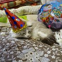 ���� ����, ������, 52 ���� - ��������� 28 ������� 2018 � ������ ���� ����������