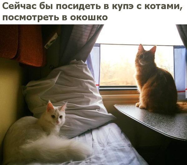    - 10  2019  17:15