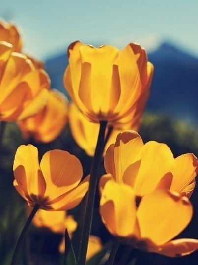 Art & Fun - 4  2018  17:08 - 4