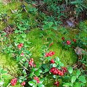  , , 60  -  13  2018    ,  .  2018.