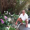 ���� ������, �����, 61 ��� - ��������� 17 ������� 2018 � ������ ���� ����������