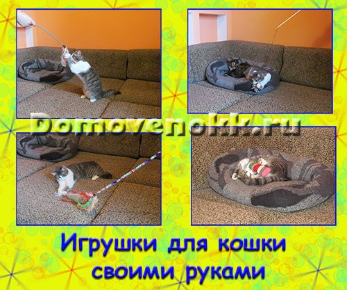 https://domovenokk.ru/master-klassy/igrushki-dlya-koshki-svoimi-rukami - 2