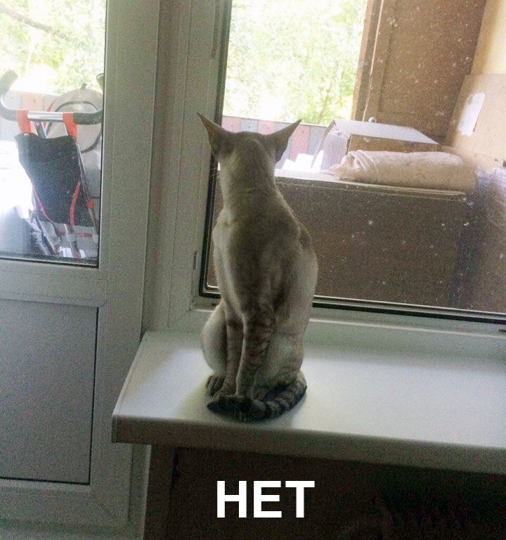  ,  ? 