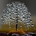 ���� �����, �������� - ��������� 31 ������� 2018 � ������ ���� ����������