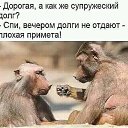 ���� �0, �����-���������, 64 ���� - ��������� 23 ����� 2019 � ������ ���� ����������