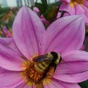 ���� ������, ������ - ��������� 14 ������ 2018 � ������ ���� ����������