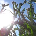 ���� ����, �������, 56 ��� - ��������� 27 ������ 2019 � ������ ��������