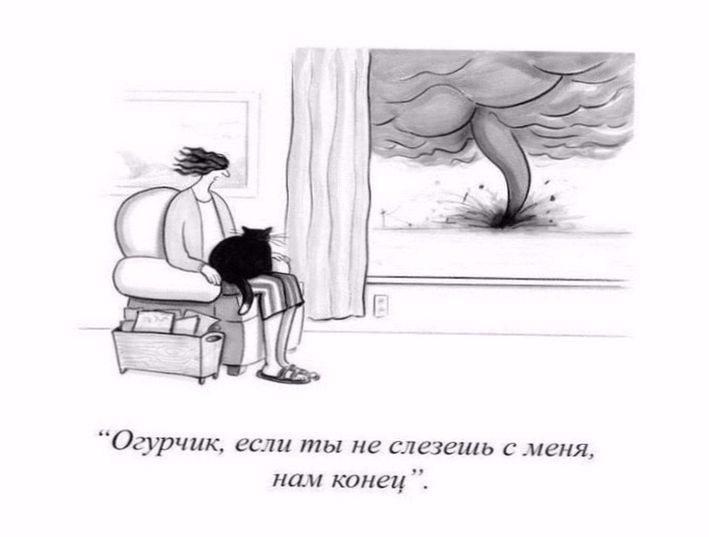~**~ - 29  2018  10:23