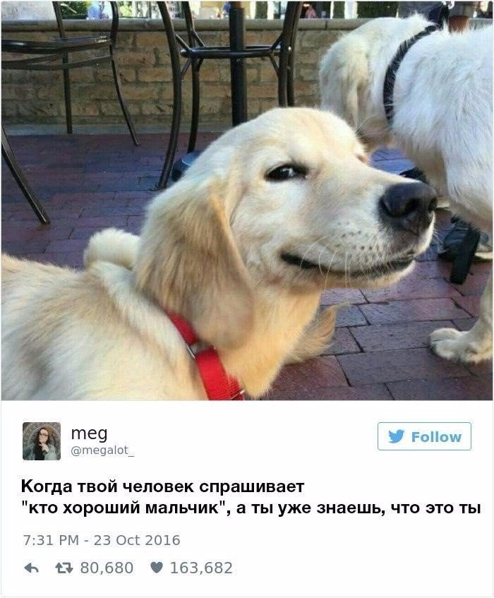     ? - 6