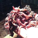  Mercury, , 43  -  16  2019    