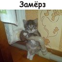 ���� ������, ��������, 58 ��� - ��������� 29 ������ 2019 � ������ ������ ��������