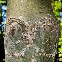  ••,  -  13  2018   - ))