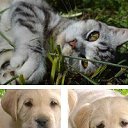 ���� �����, ������������ - ��������� 12 �������� 2018 � ������ ������ ��������� � �����������...�