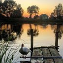  , -, 57  -  17  2018    