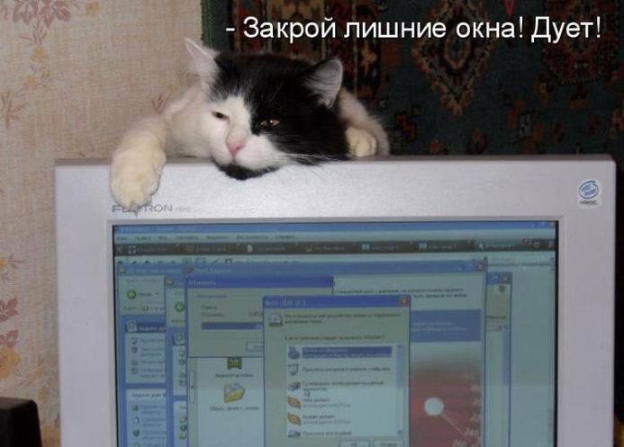  ...,   ... (  ...)  ... - ...,   ... ...