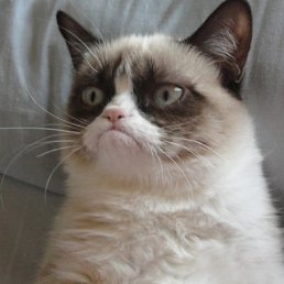 ���� �������, ����, 30 ��� - ��������� 22 ������ 2018