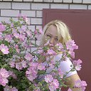 ���� �����, ������, 49 ��� - ��������� 29 ���� 2018 � ������ ���� ����������