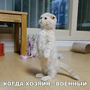 ���� �������., ������� - ��������� 23 ������� 2018 � ������ ���� ����������