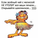   , , 49  -  26  2019