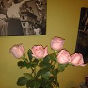 ���� ����, ������� - ��������� 26 ������ 2019 � ������ ������ ��������