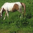 ���� Daniel, ʸ���, 50 ��� - ��������� 30 ���� 2018 � ������ ���� ����������