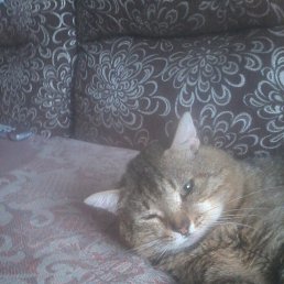 ������, �����, 55 ���